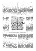 giornale/CFI0361052/1910/unico/00000541