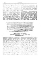 giornale/CFI0361052/1910/unico/00000542