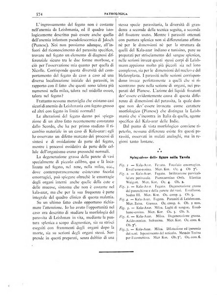 Pathologica rivista quindicinale