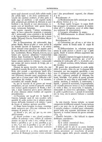 Pathologica rivista quindicinale