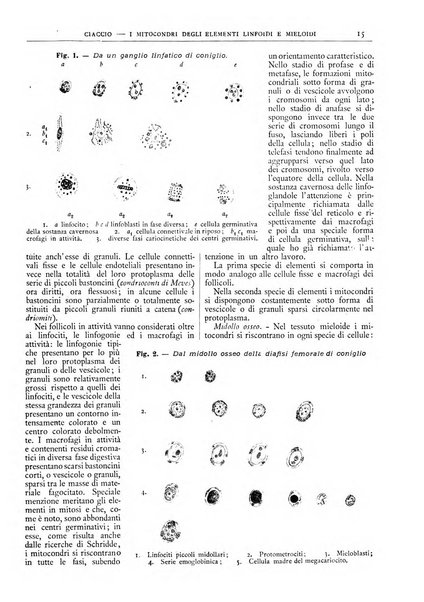 Pathologica rivista quindicinale