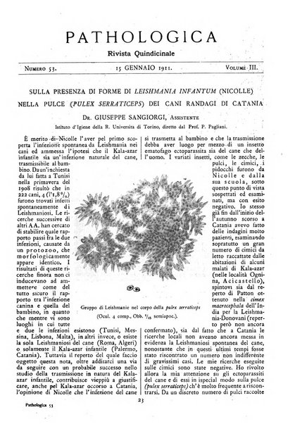 Pathologica rivista quindicinale