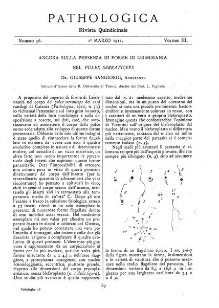 Pathologica rivista quindicinale