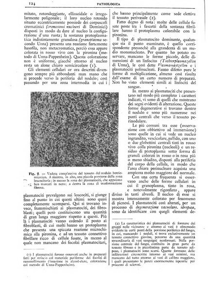 Pathologica rivista quindicinale