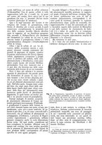 giornale/CFI0361052/1911/unico/00000161