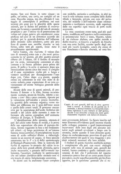 Pathologica rivista quindicinale