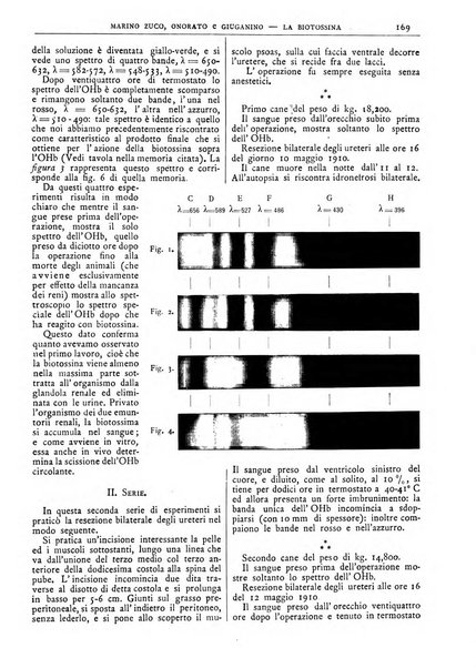 Pathologica rivista quindicinale