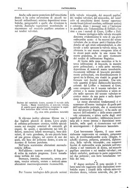 Pathologica rivista quindicinale