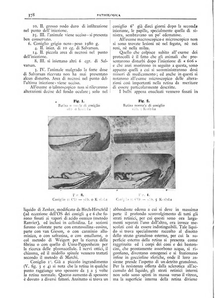 Pathologica rivista quindicinale