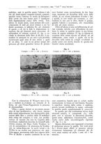 giornale/CFI0361052/1911/unico/00000415