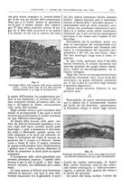giornale/CFI0361052/1911/unico/00000419