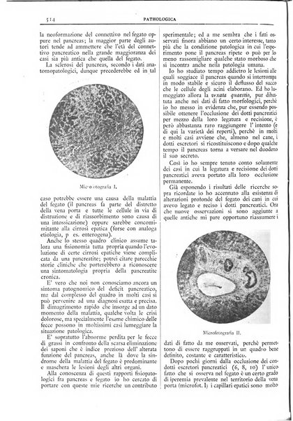 Pathologica rivista quindicinale