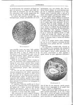 giornale/CFI0361052/1911/unico/00000550