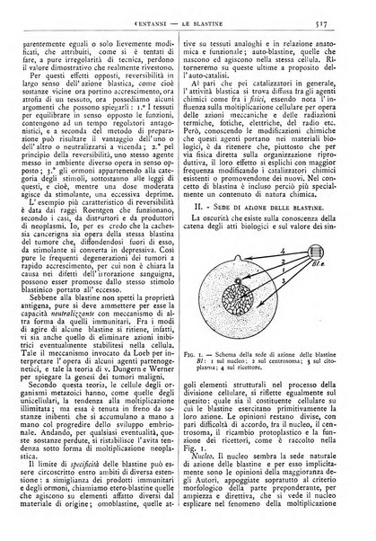 Pathologica rivista quindicinale