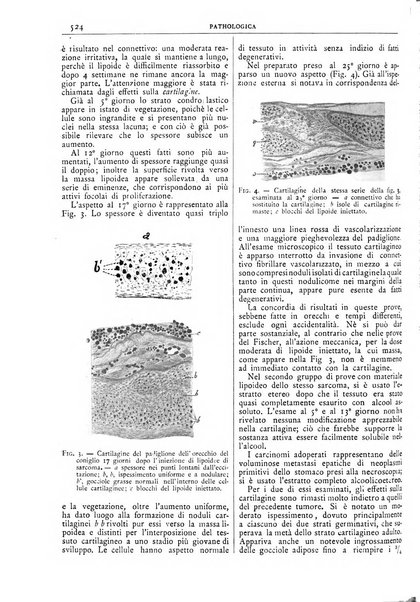 Pathologica rivista quindicinale