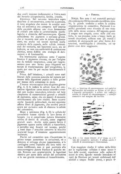 Pathologica rivista quindicinale