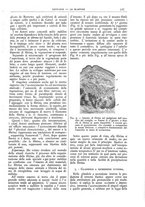 giornale/CFI0361052/1911/unico/00000563