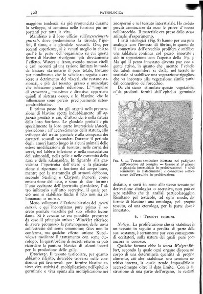 Pathologica rivista quindicinale