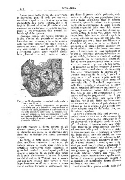 Pathologica rivista quindicinale