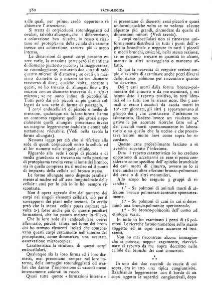 Pathologica rivista quindicinale