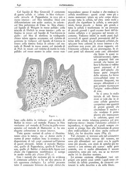 Pathologica rivista quindicinale