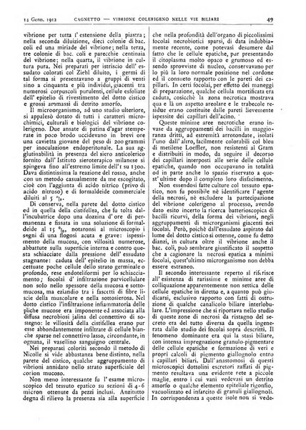 Pathologica rivista quindicinale