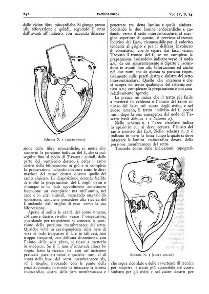 Pathologica rivista quindicinale