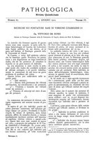 giornale/CFI0361052/1912/unico/00000381