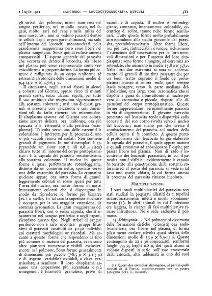 Pathologica rivista quindicinale