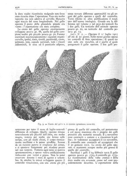 Pathologica rivista quindicinale