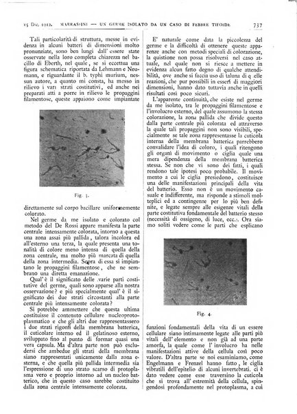 Pathologica rivista quindicinale