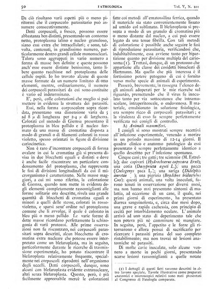 Pathologica rivista quindicinale