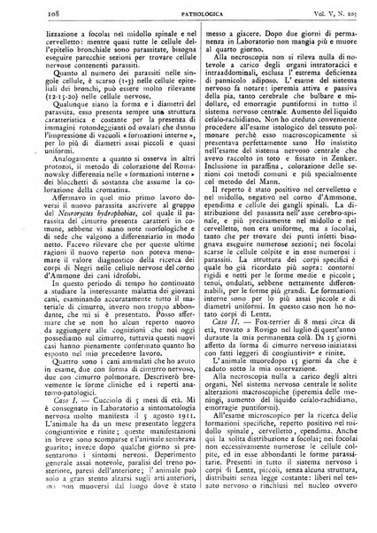 Pathologica rivista quindicinale