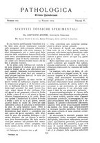 giornale/CFI0361052/1913/unico/00000327