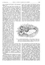 giornale/CFI0361052/1913/unico/00000397