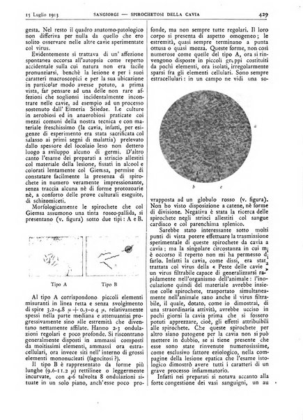 Pathologica rivista quindicinale