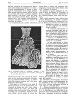 giornale/CFI0361052/1913/unico/00000684