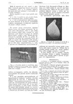 giornale/CFI0361052/1913/unico/00000760