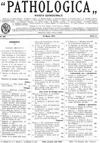 giornale/CFI0361052/1913/unico/00000815