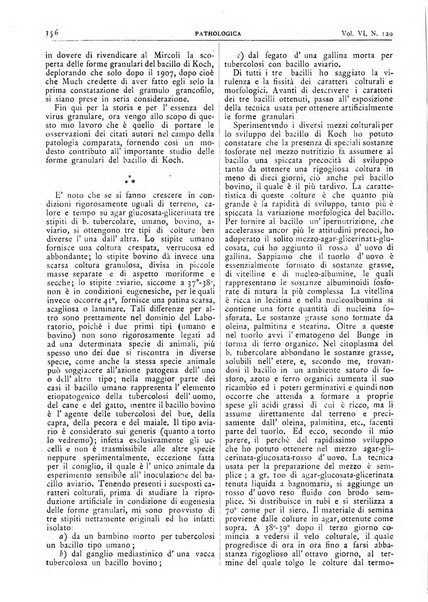 Pathologica rivista quindicinale