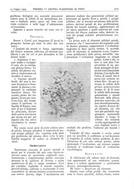 Pathologica rivista quindicinale