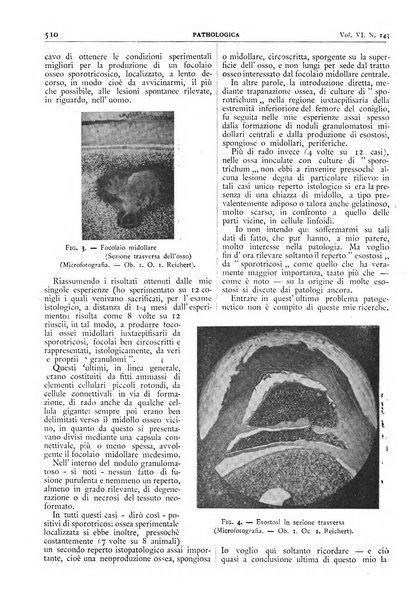 Pathologica rivista quindicinale