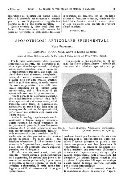 Pathologica rivista quindicinale