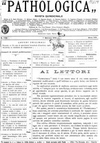 giornale/CFI0361052/1916/unico/00000029