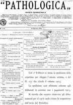 giornale/CFI0361052/1916/unico/00000049