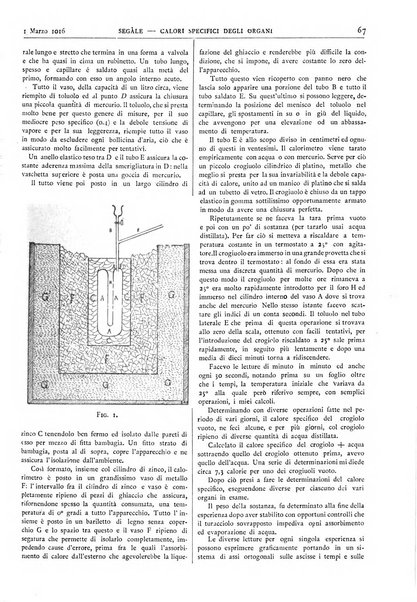 Pathologica rivista quindicinale