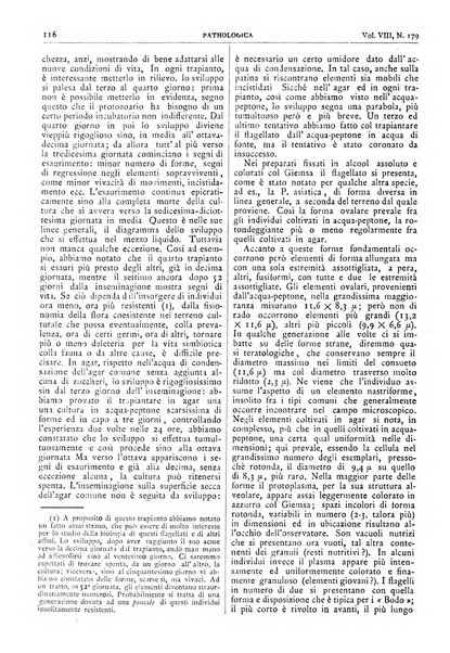 Pathologica rivista quindicinale