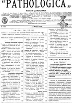 giornale/CFI0361052/1916/unico/00000193