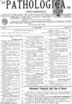giornale/CFI0361052/1916/unico/00000285