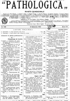 giornale/CFI0361052/1916/unico/00000381